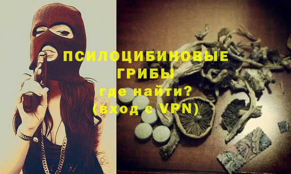 прущие грибы Волосово