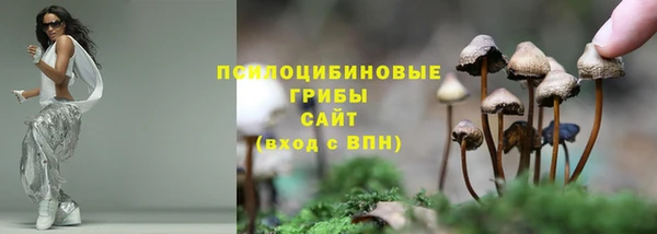 ALPHA PVP Володарск