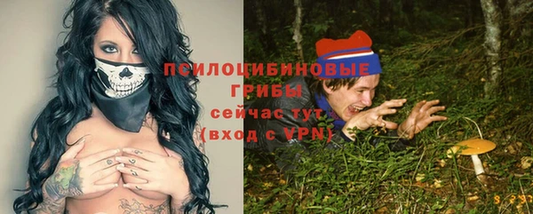 прущие грибы Волосово