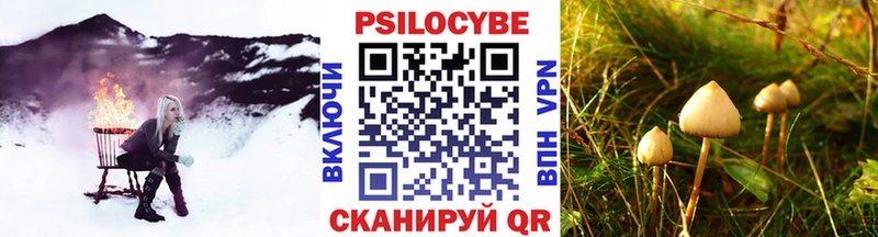 Галлюциногенные грибы мицелий Домодедово